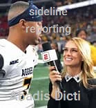 sideline reporting